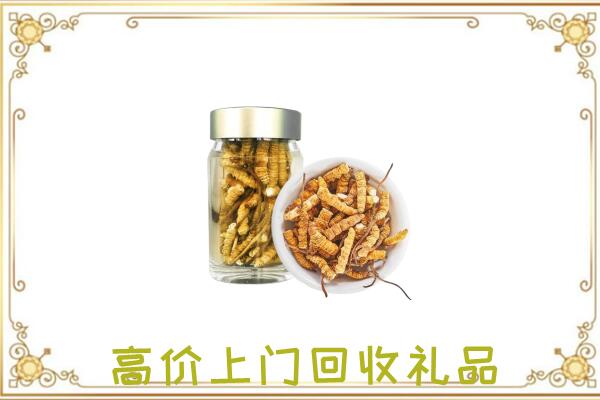 长春市周边回收虫草